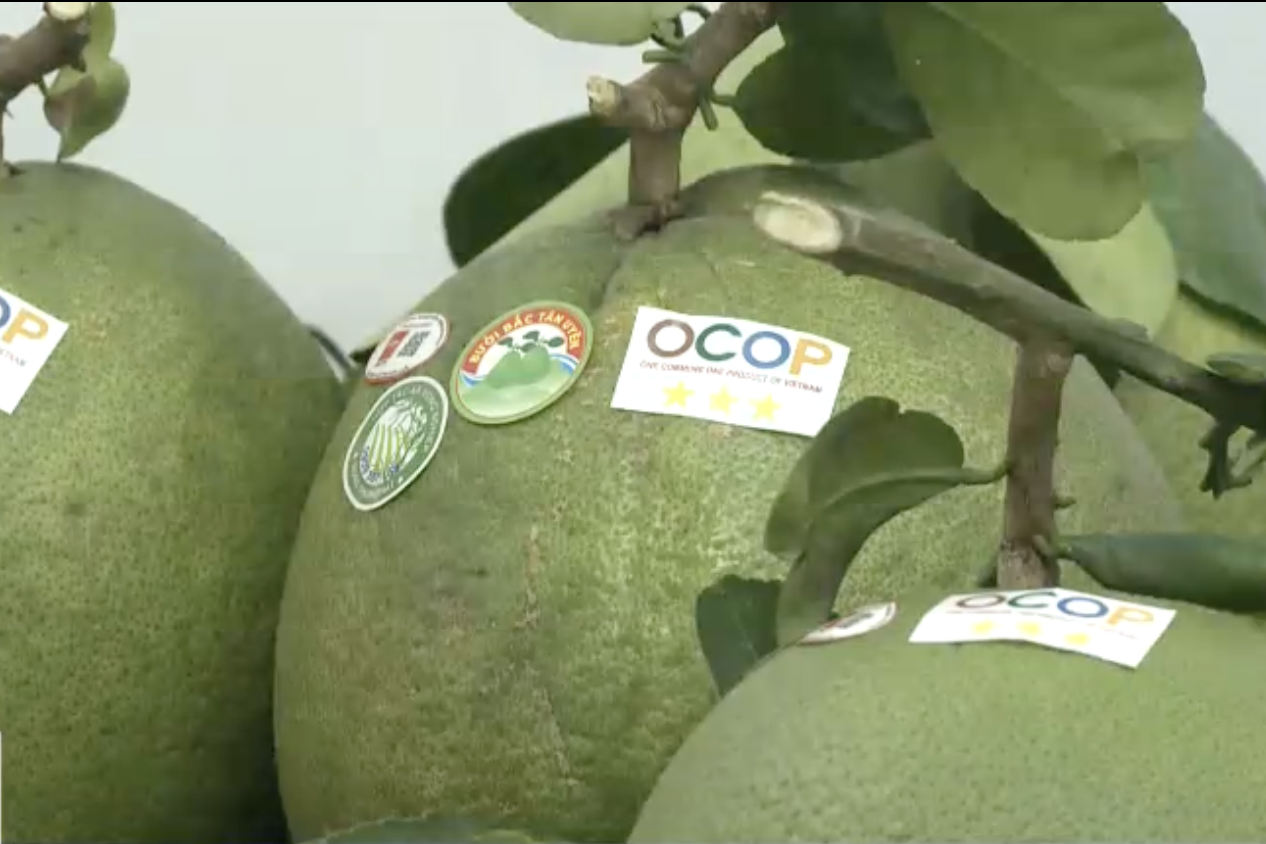 Bình Dương chú trọng thương mại điện tử để đưa hàng hoá vươn xa hơn