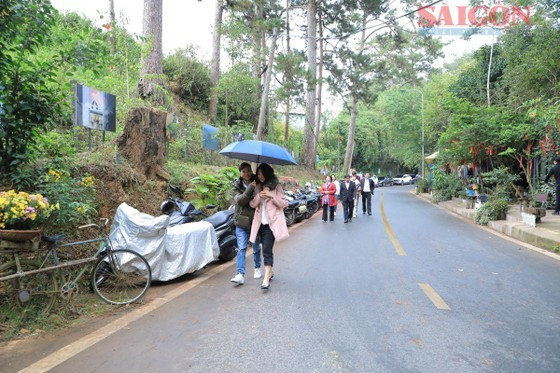 An outdoor art display on Ly Tu Trong Street in Da Lat City ảnh 1