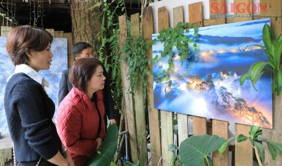 A painting exhibition on Ly Tu Trong Street in Da Lat City ảnh 2