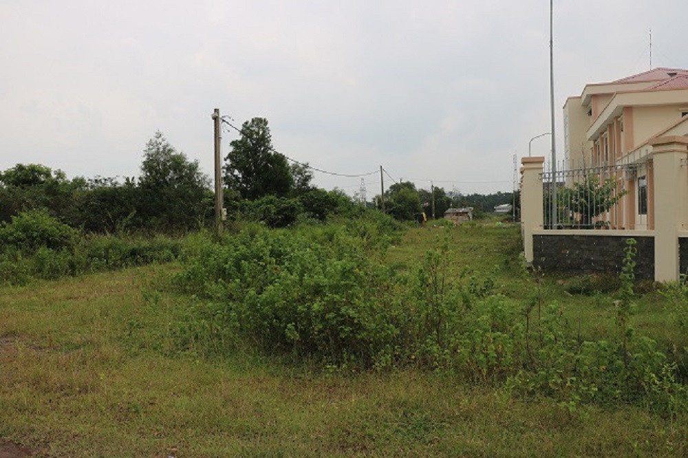 vi pham dat dai o ba ria vung tau.jpg