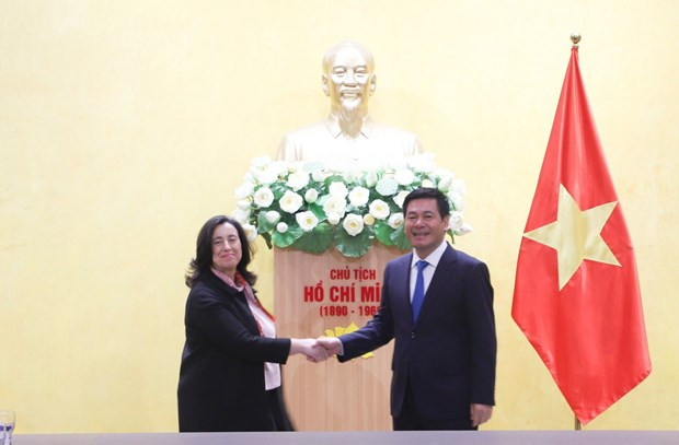 World Bank seek partnership with Vietnam in energy development hinh anh 1