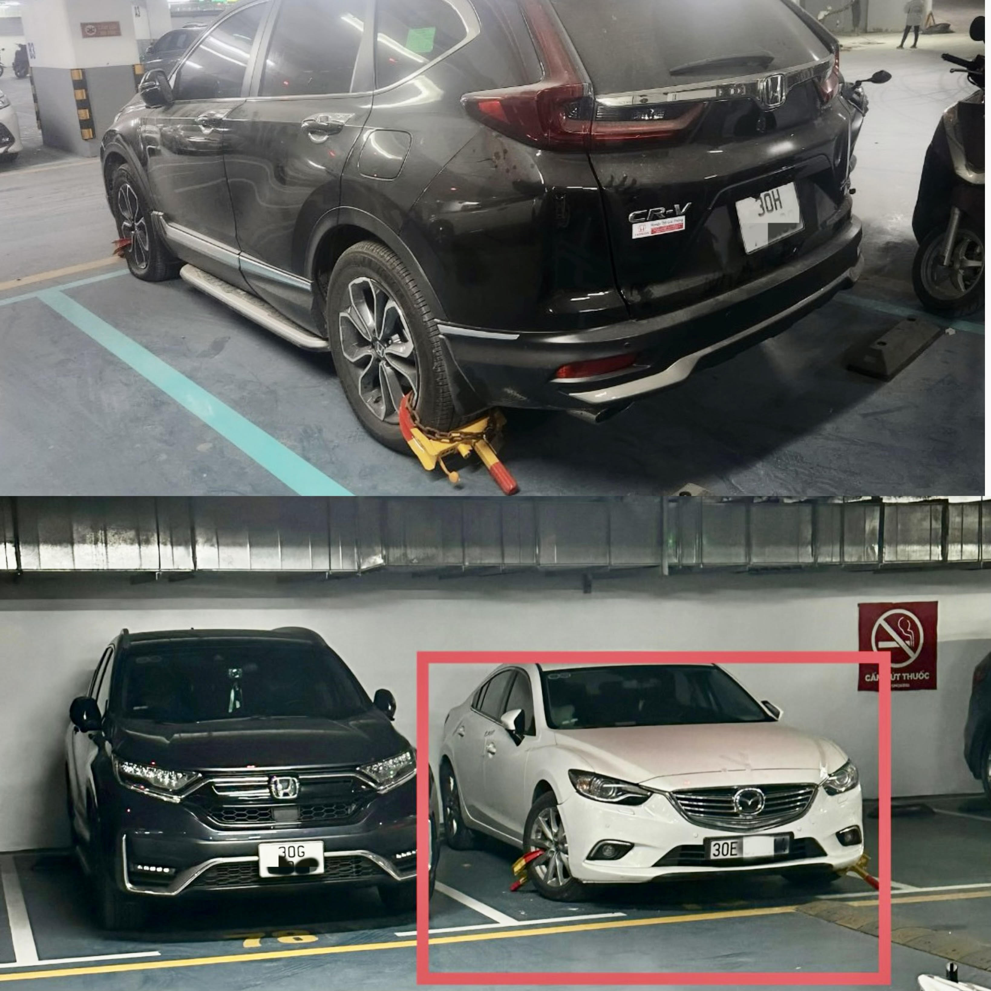 cc artemis vietnamnet 1.jpg