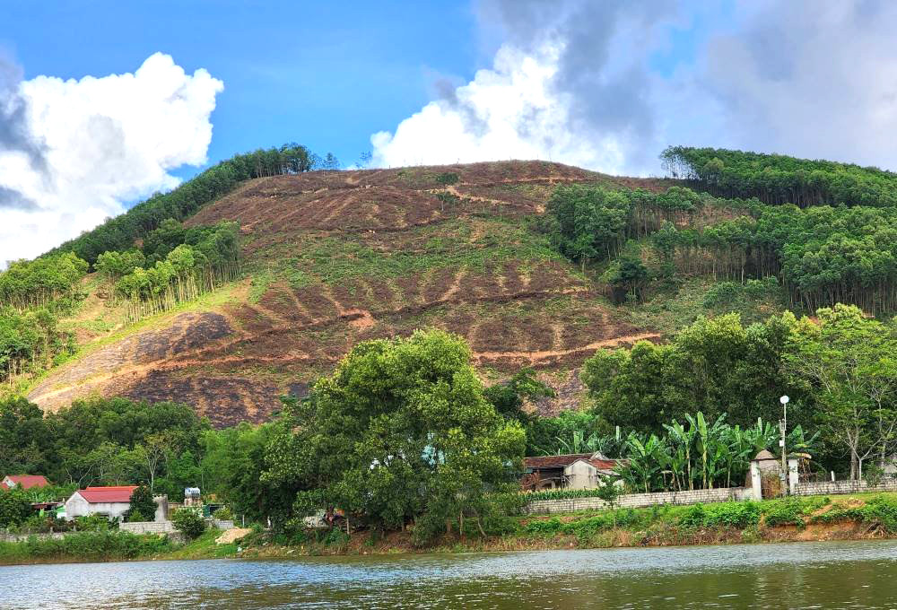 z4879929364485 f6be706afaa125ad05499ecd45425ae1.jpg