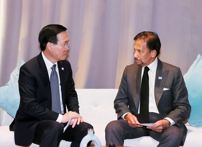 Chủ tịch nước gặp Quốc vương Brunei.jpeg