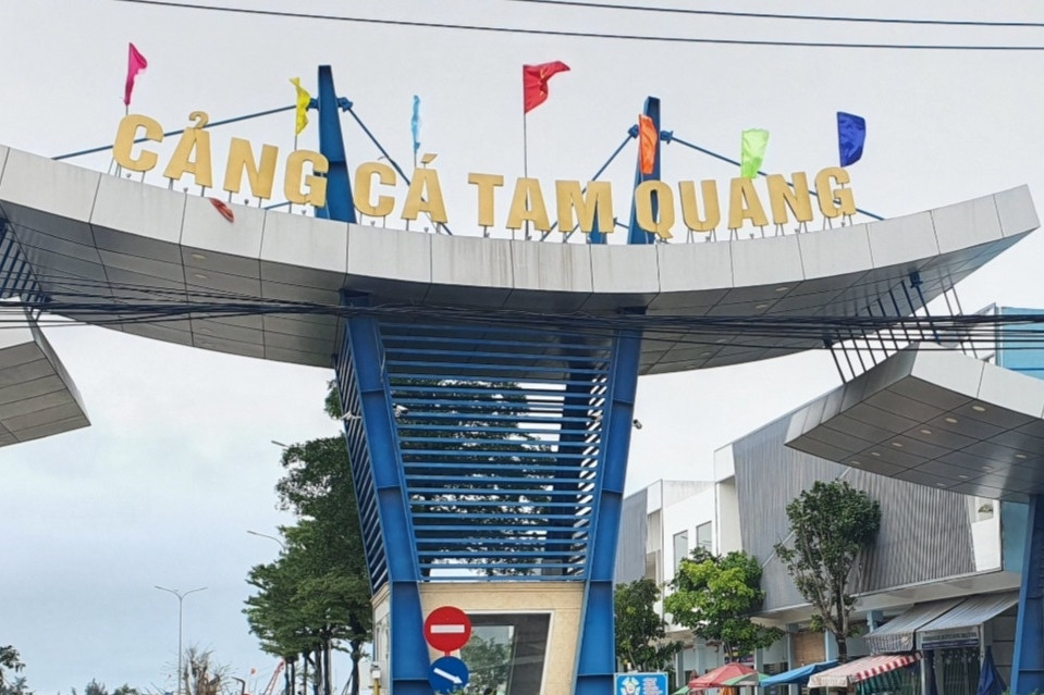 Quảng Nam đầu tư hơn 130 tỷ đồng xây dựng cảng cá Tam Quang