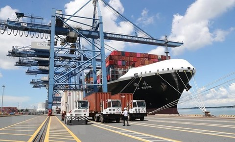 Vietnam lacks human resources experts in implementing FTAs