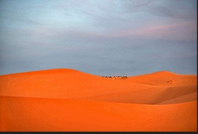 Vietnamese photographer wins five prizes in Australia's contest hinh anh 1