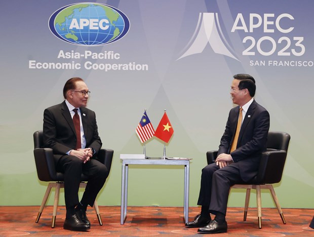 Vietnamese President, Malaysian PM lauds strong progress of strategic partnership hinh anh 1