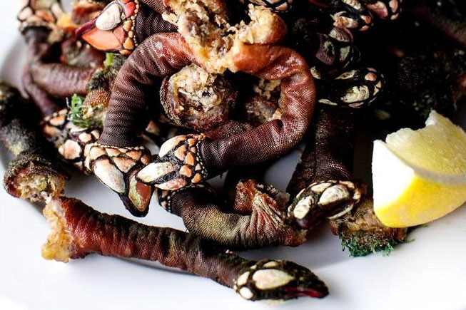 Đặc sản 'ngón tay của quỷ' giá gần 4 triệu/kg, muốn mua cũng khó
