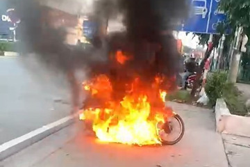 Bản tin chiều 19/11: Thanh niên đốt luôn xe máy khi vi phạm nồng độ cồn
