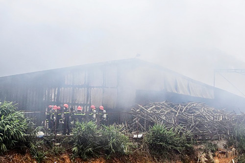 Cơ sở sản xuất nấm rộng hàng nghìn m2 ở Lâm Đồng bốc cháy dữ dội