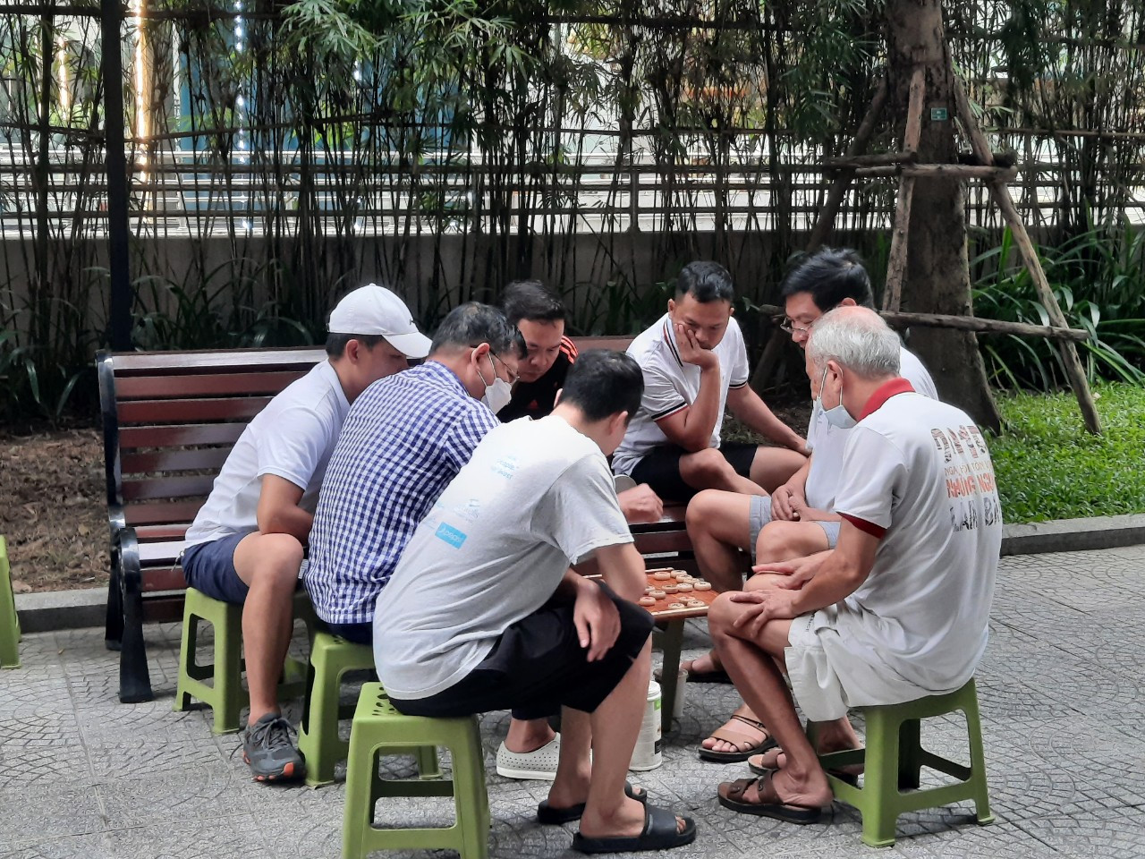 11 denct khong co don.jpg