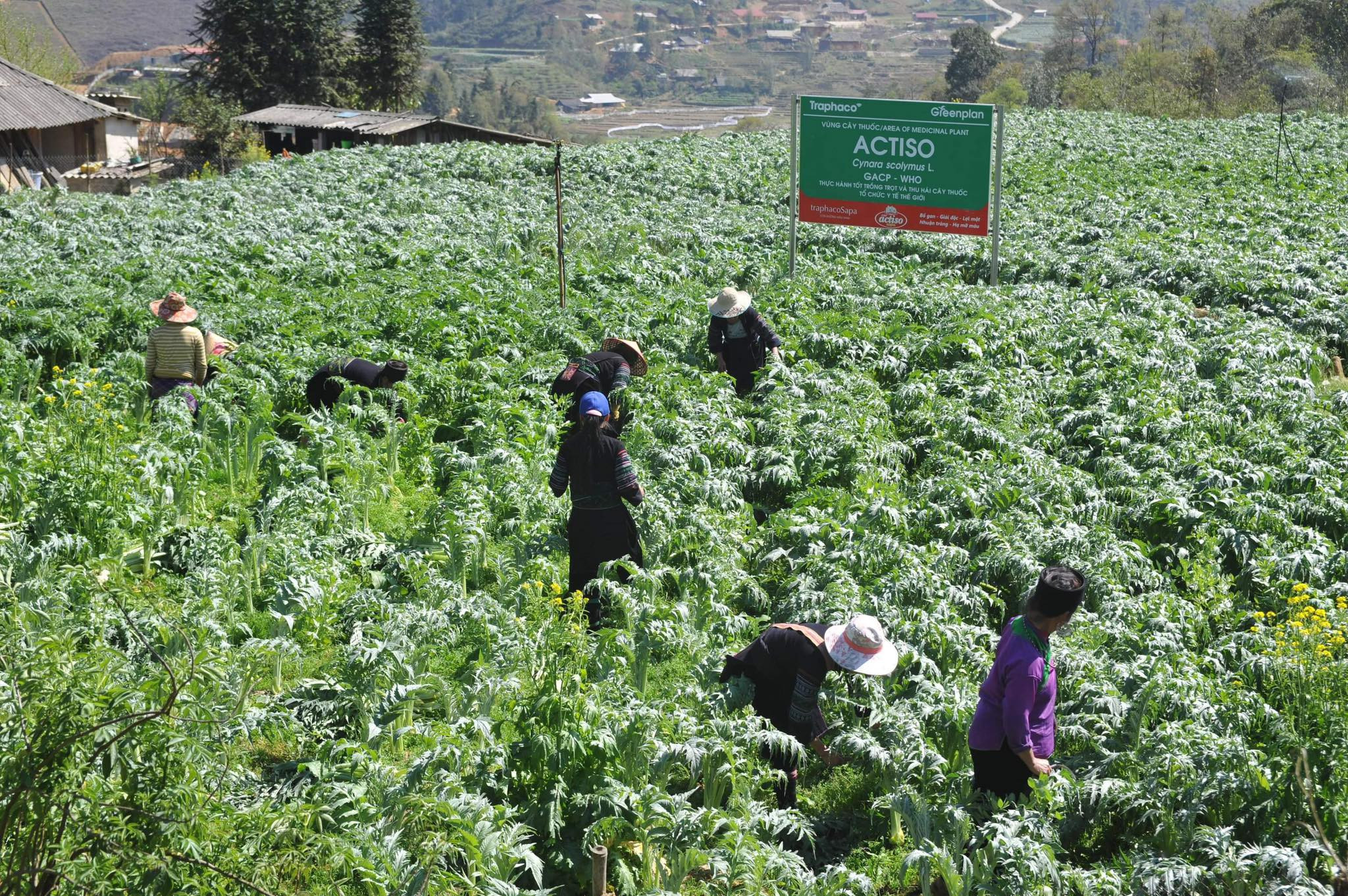 393758675 974476283617183 3609598314529052107 n.jpg