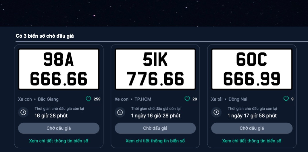 98A-666.66 dau gia.jpg