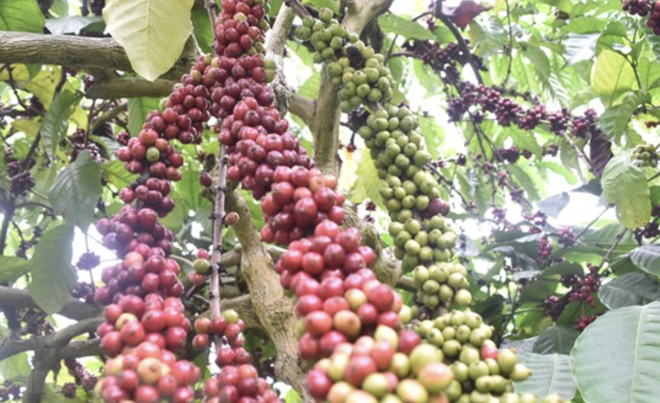 anh man hinh 2023 11 02 luc 044245.png