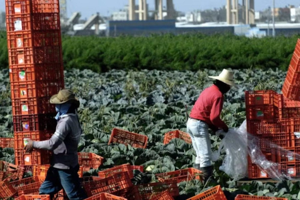 Sự lo âu của gia đình nông dân nghèo Thái Lan có con bị Hamas giam giữ