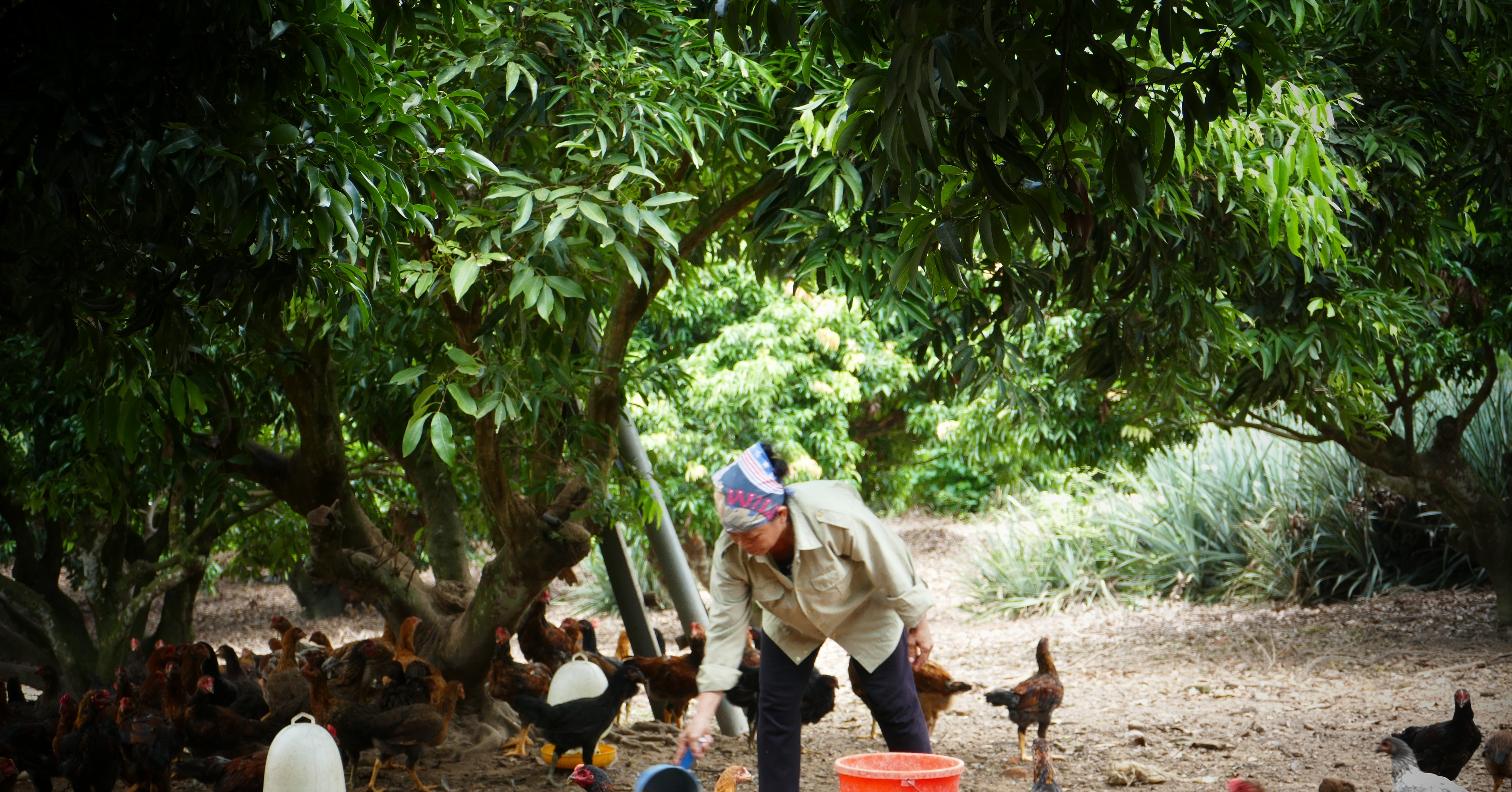 Bac Giang: Enhancing ethnic minority women's position and role