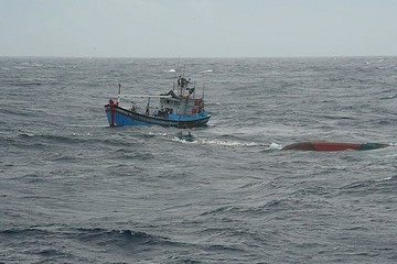Tàu cá chìm, 14 ngư dân bám víu chờ cứu nạn