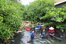 Nhiều bạn trẻ 'ngâm mình' hàng giờ liền, dọn rác kênh rạch ô nhiễm ở Đồng Nai