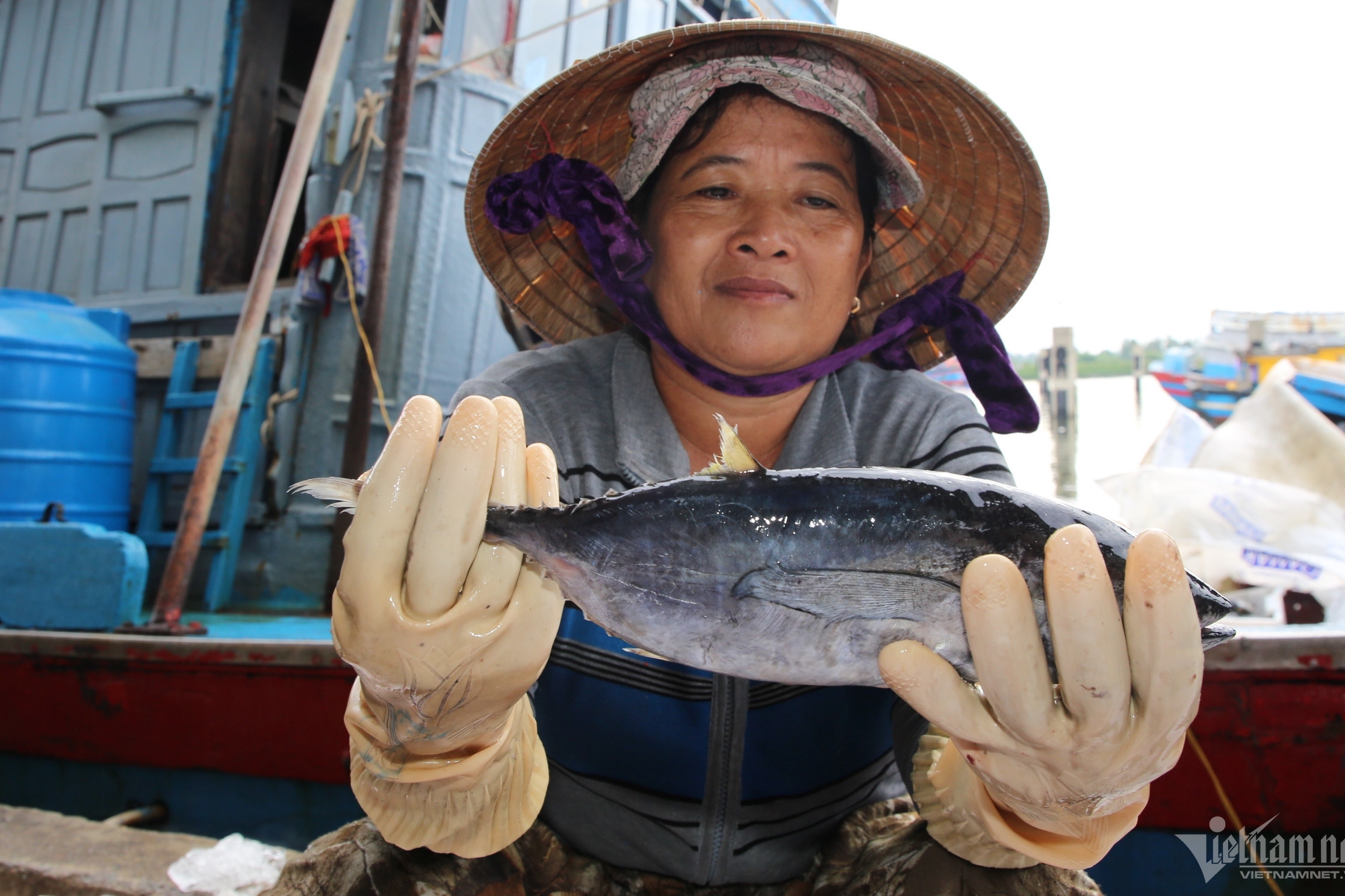 Quảng Ngãi nỗ lực gỡ ‘thẻ vàng’ IUU