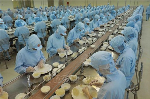 VN enterprises increase investment to seize bird’s nest export opportunities