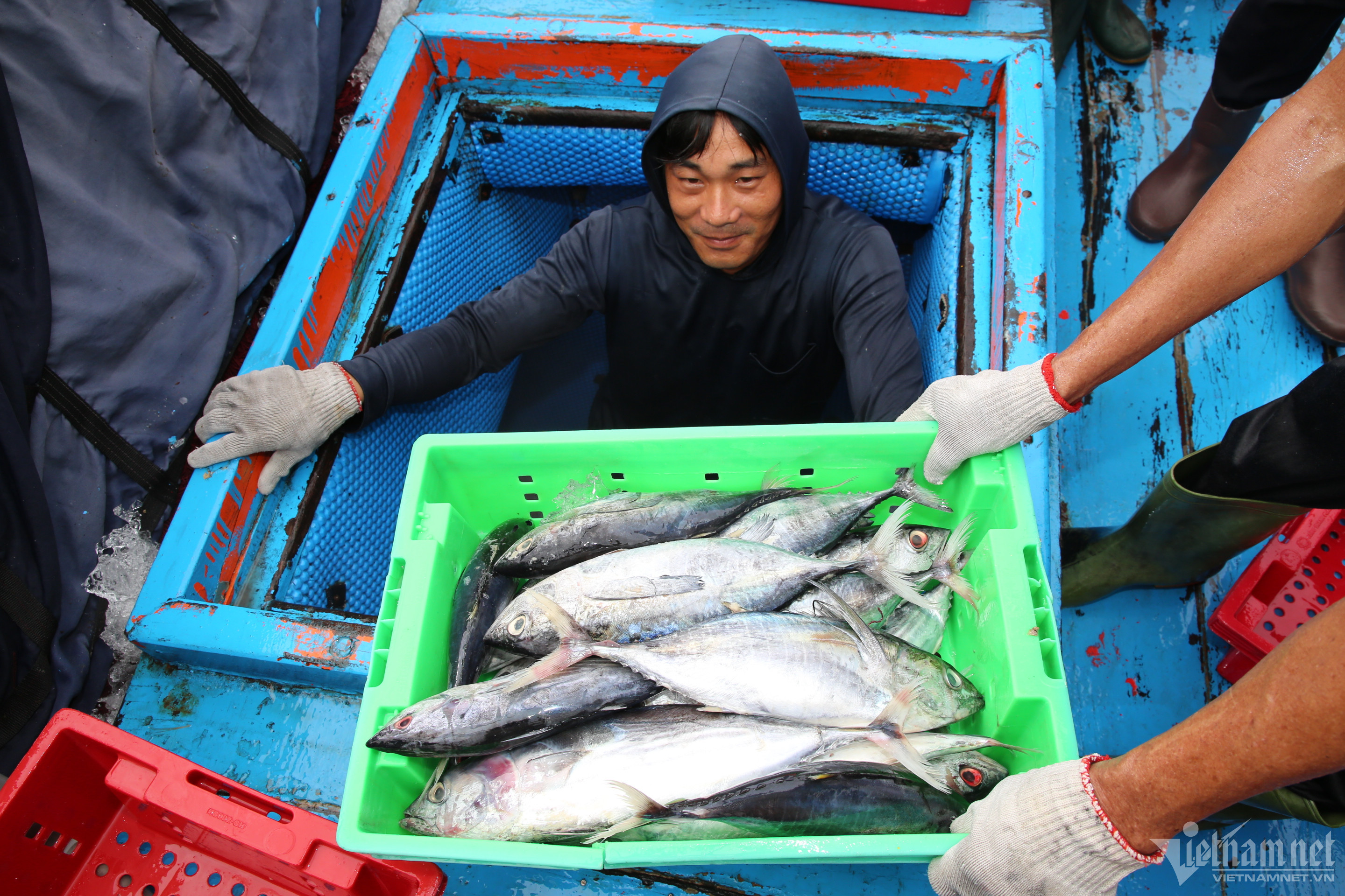 w 3q2a0147 2 232.jpg