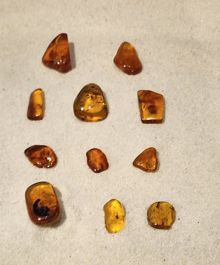 z4901775112054 1bac39c136e99df3d0557d3a474a8256.jpg