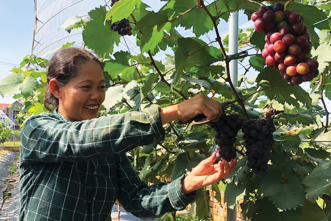 Chuyển đổi số hướng tới nền nông nghiệp hiện đại