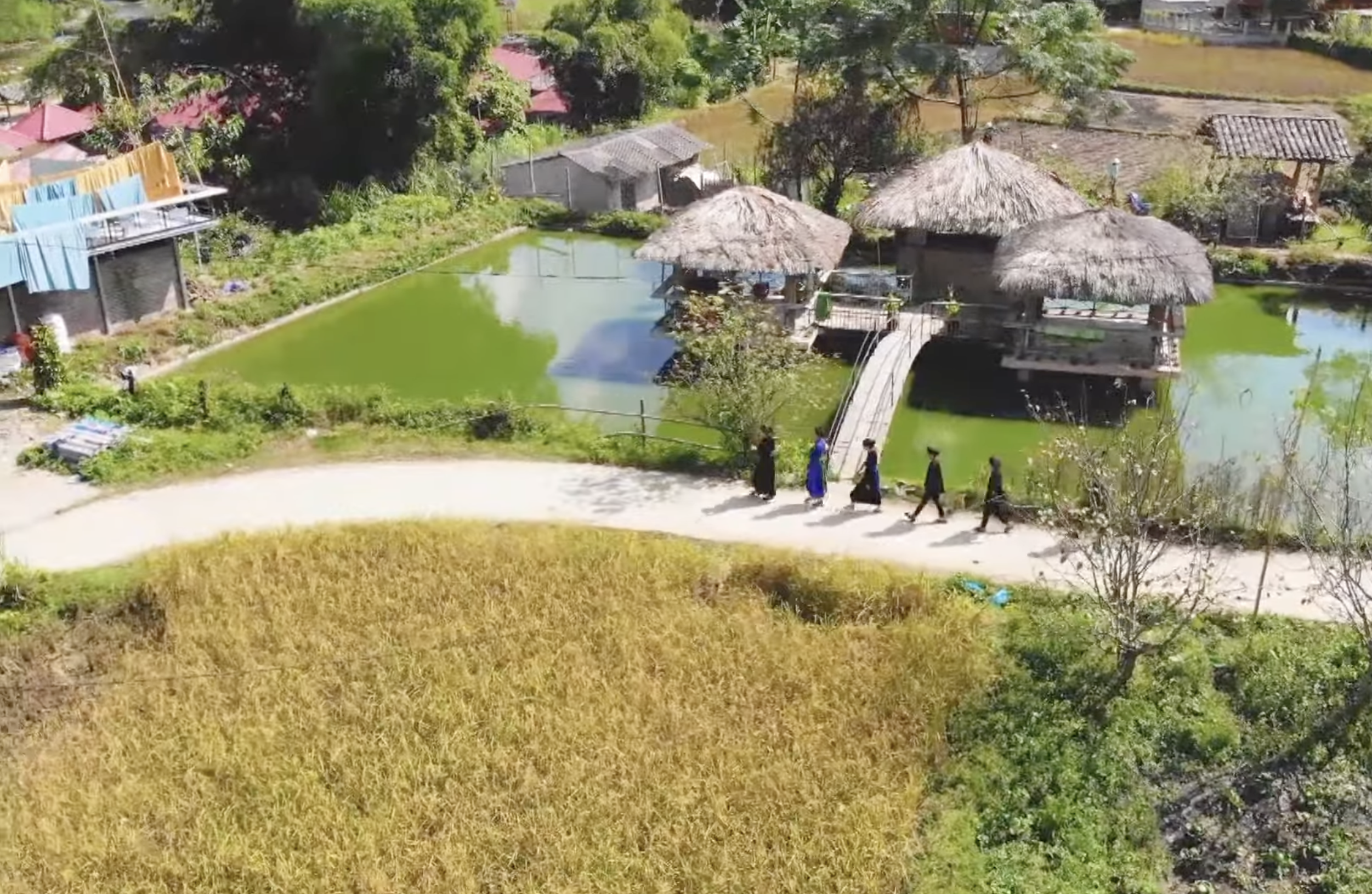 Huyện Yên Minh (Hà Giang) khai mạc chợ đêm dịp Lễ hội hoa Tam giác mạch