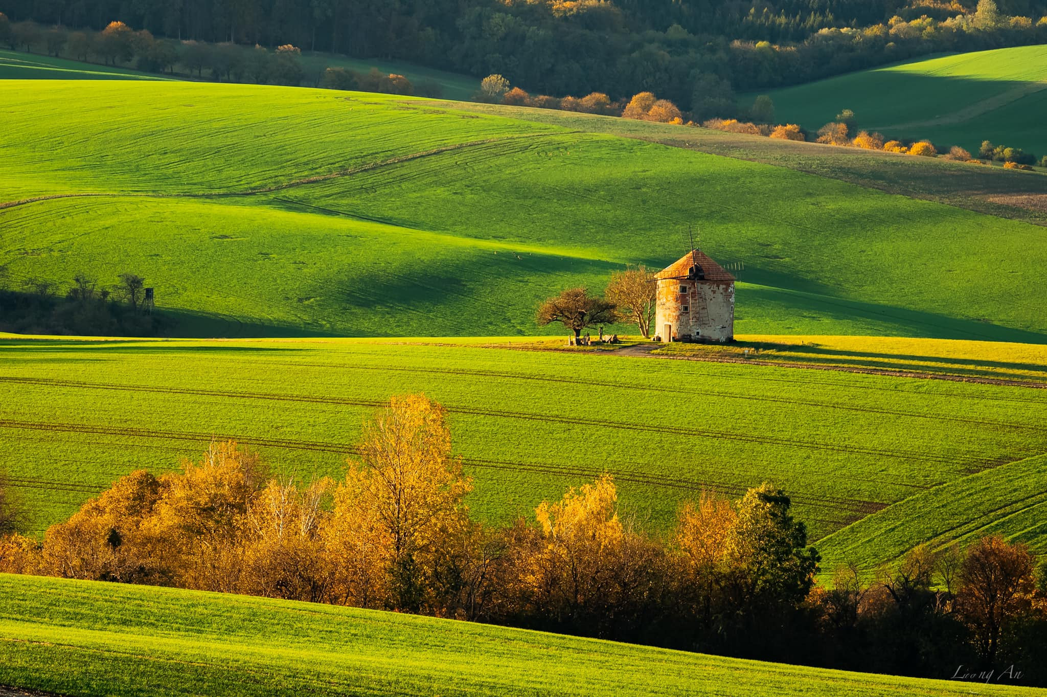 399267584 6542583115867732 8880927290341497059 n.jpg