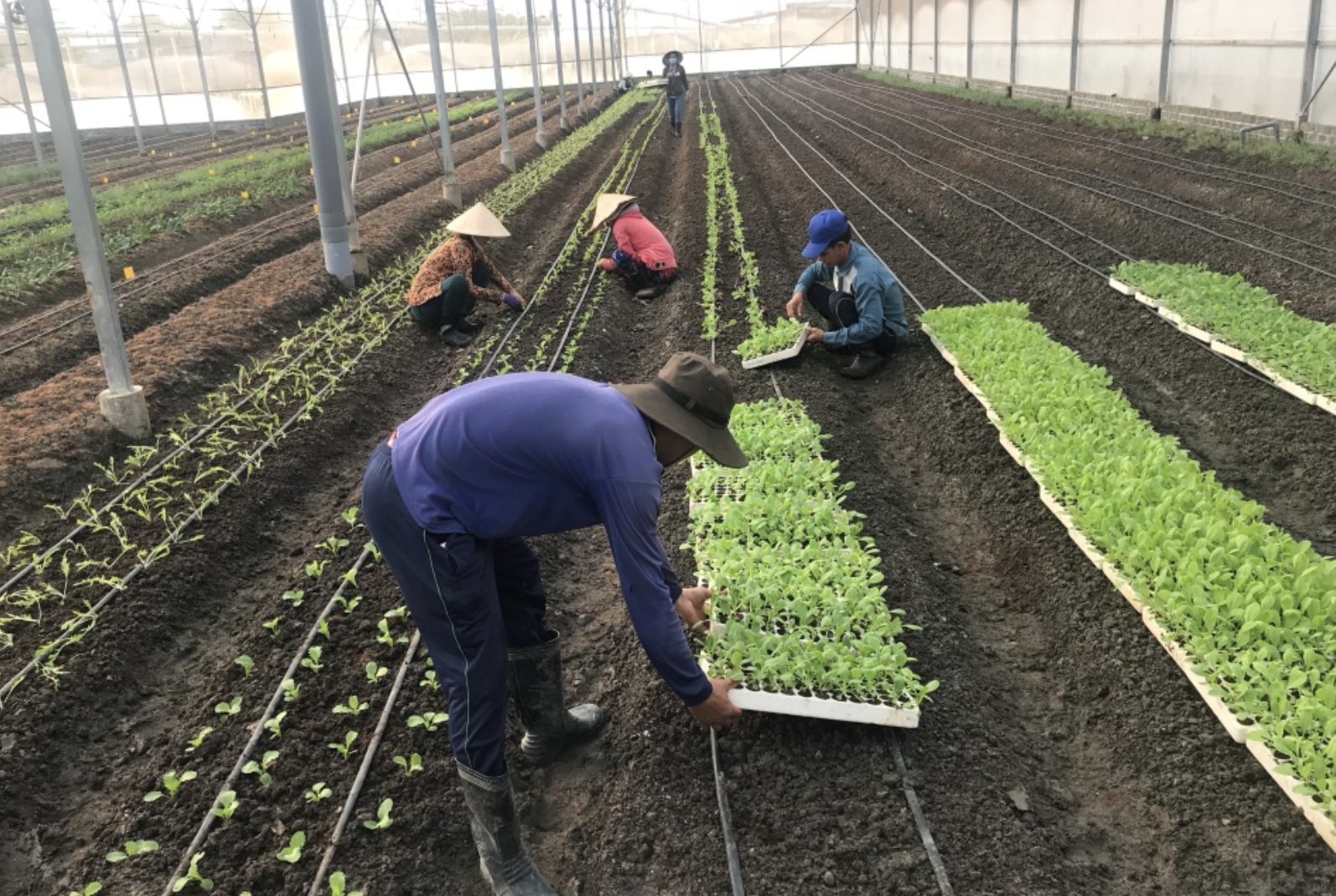 anh chup man hinh 2023 11 20 luc 150743.png