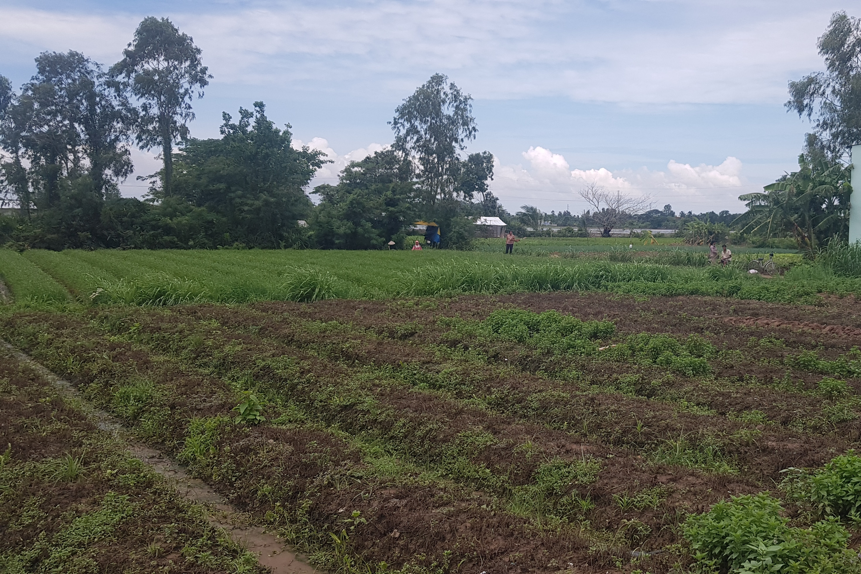 Đồn Đạc (Quảng Ninh) đoàn kết, sáng tạo xây dựng nông thôn mới