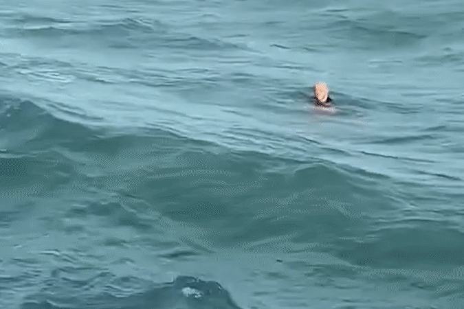 Nam du khách 'ngà ngà say' được giải cứu khi đang bơi từ đất liền ra đảo