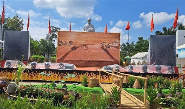 Soc Trang rice painting sets Vietnam record hinh anh 1