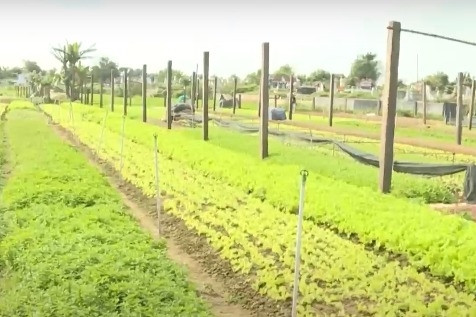 Thừa Thiên Huế: Huyện Quảng Điền đẩy mạnh xây dựng nông thôn mới nâng cao
