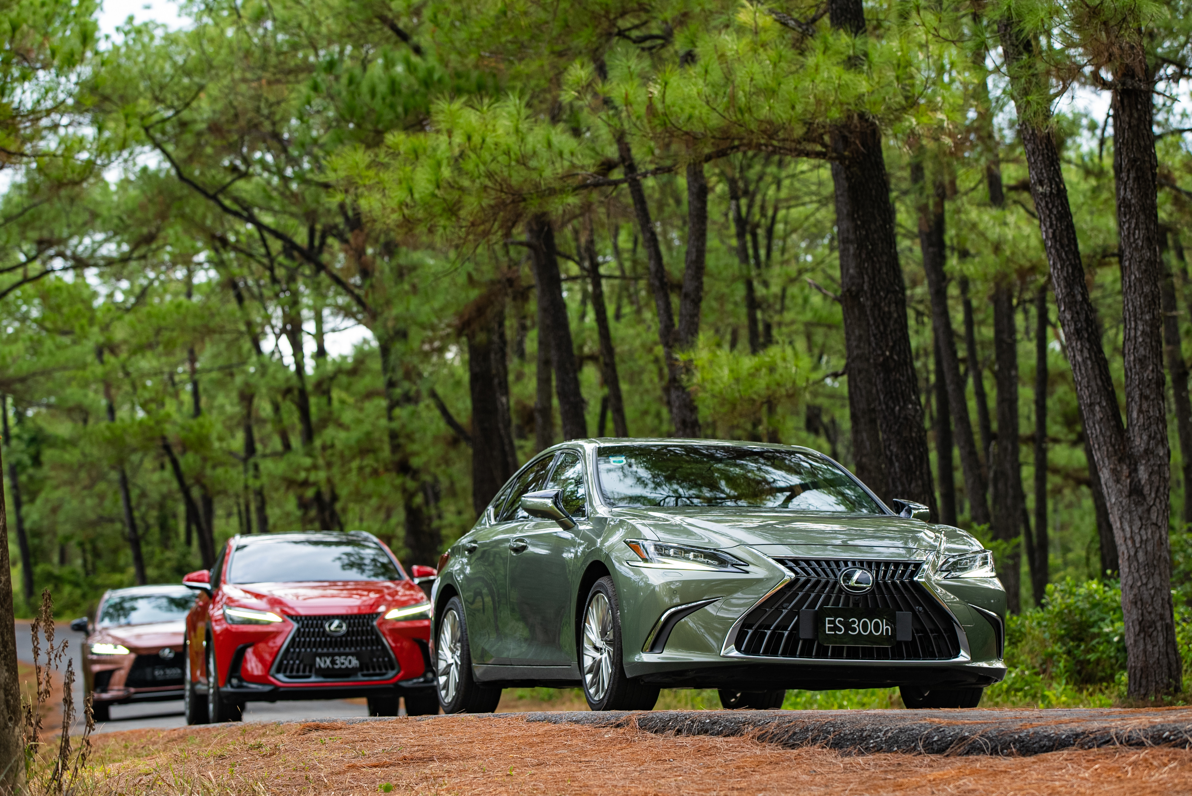 Lý do Lexus chưa vội bán xe điện ở Việt Nam