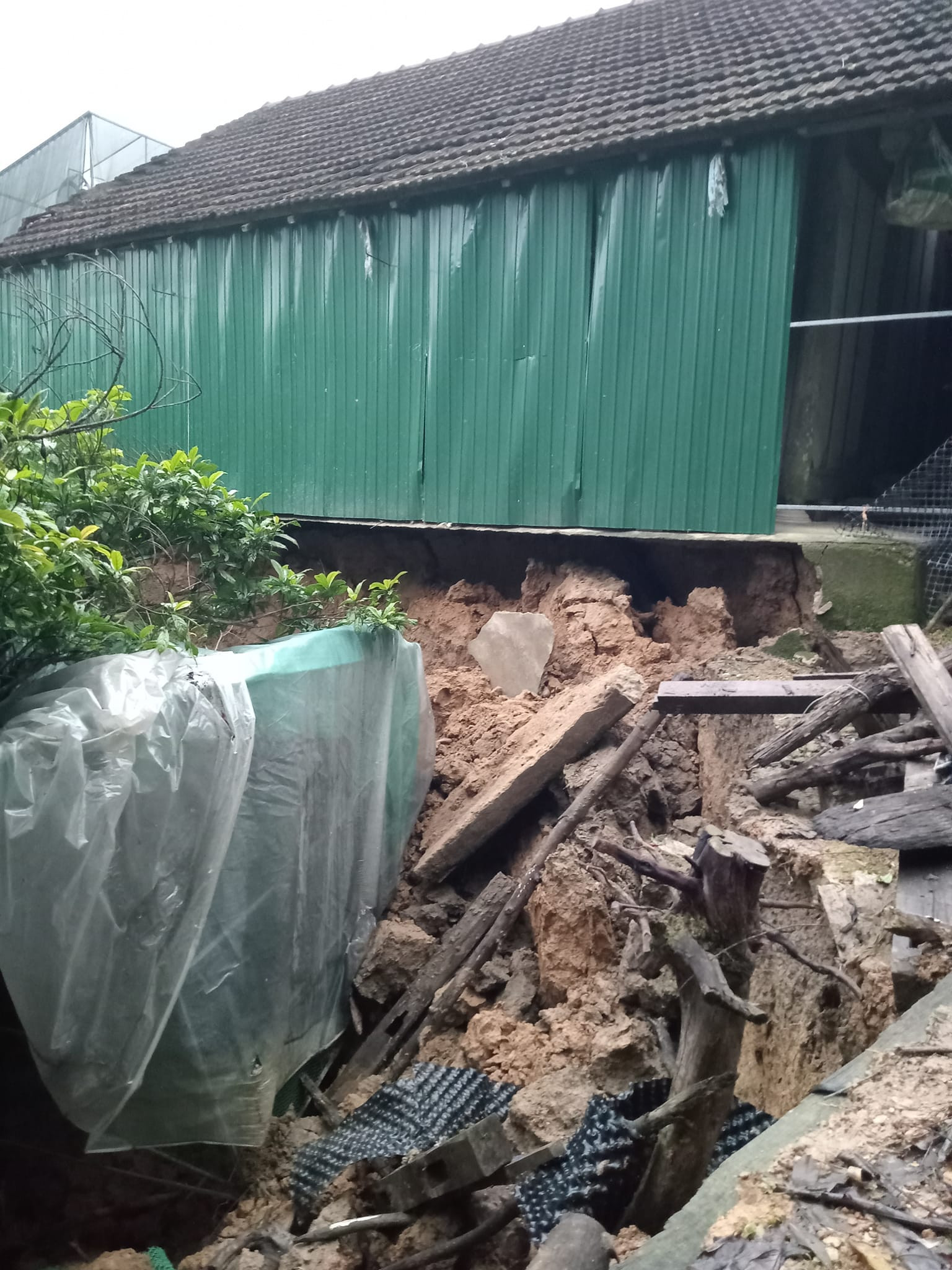 403736334 2537676596410294 3998385914784439313 n 1.jpg