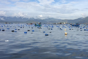 Đẩy mạnh nuôi biển, giảm khai thác để ngành thuỷ sản phát triển bền vững
