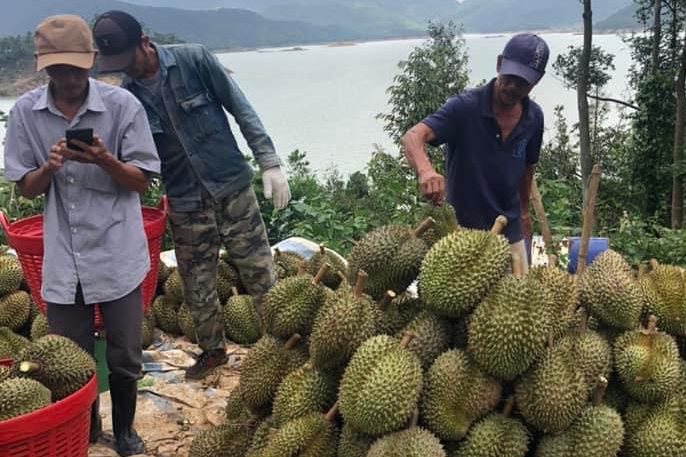 Thay đổi tư duy, làm giàu từ thông tin trên thiết bị nghe nhìn