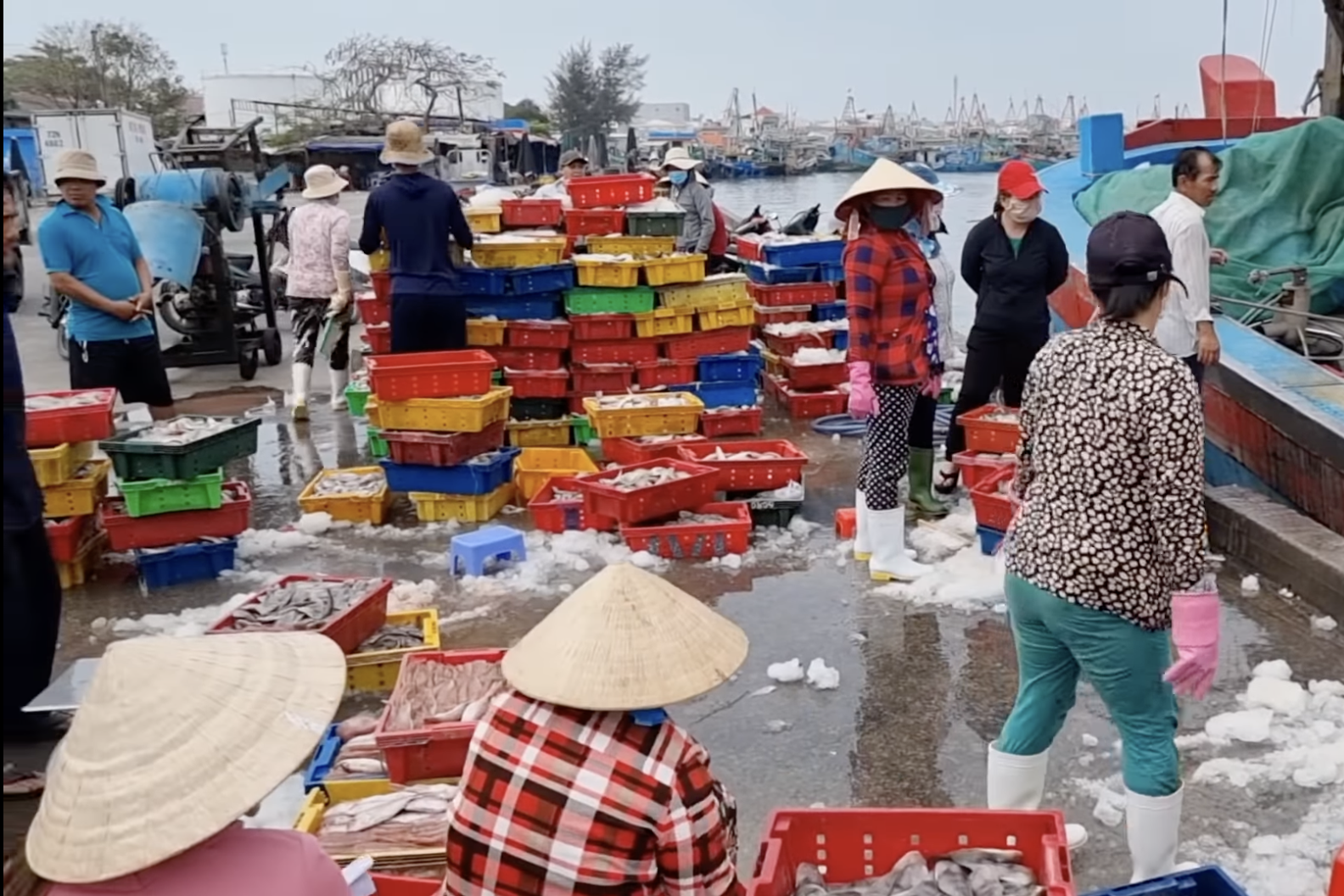Ngư dân tỉnh Bà Rịa - Vũng Tàu ký cam kết không khai thác hải sản bất hợp pháp