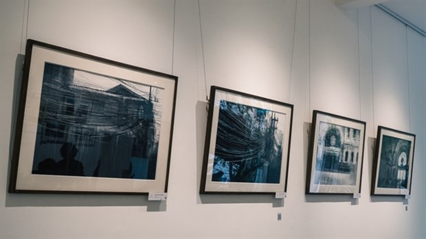 Peruvian artist displays paintings using traditional Vietnam paper hinh anh 1