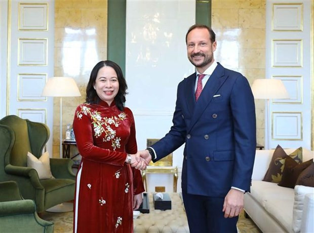 Vice President Vo Thi Anh Xuan busy with bilateral activities in Norway hinh anh 1