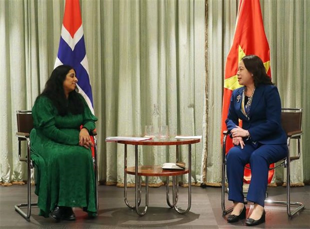 Vice President Vo Thi Anh Xuan busy with bilateral activities in Norway hinh anh 4