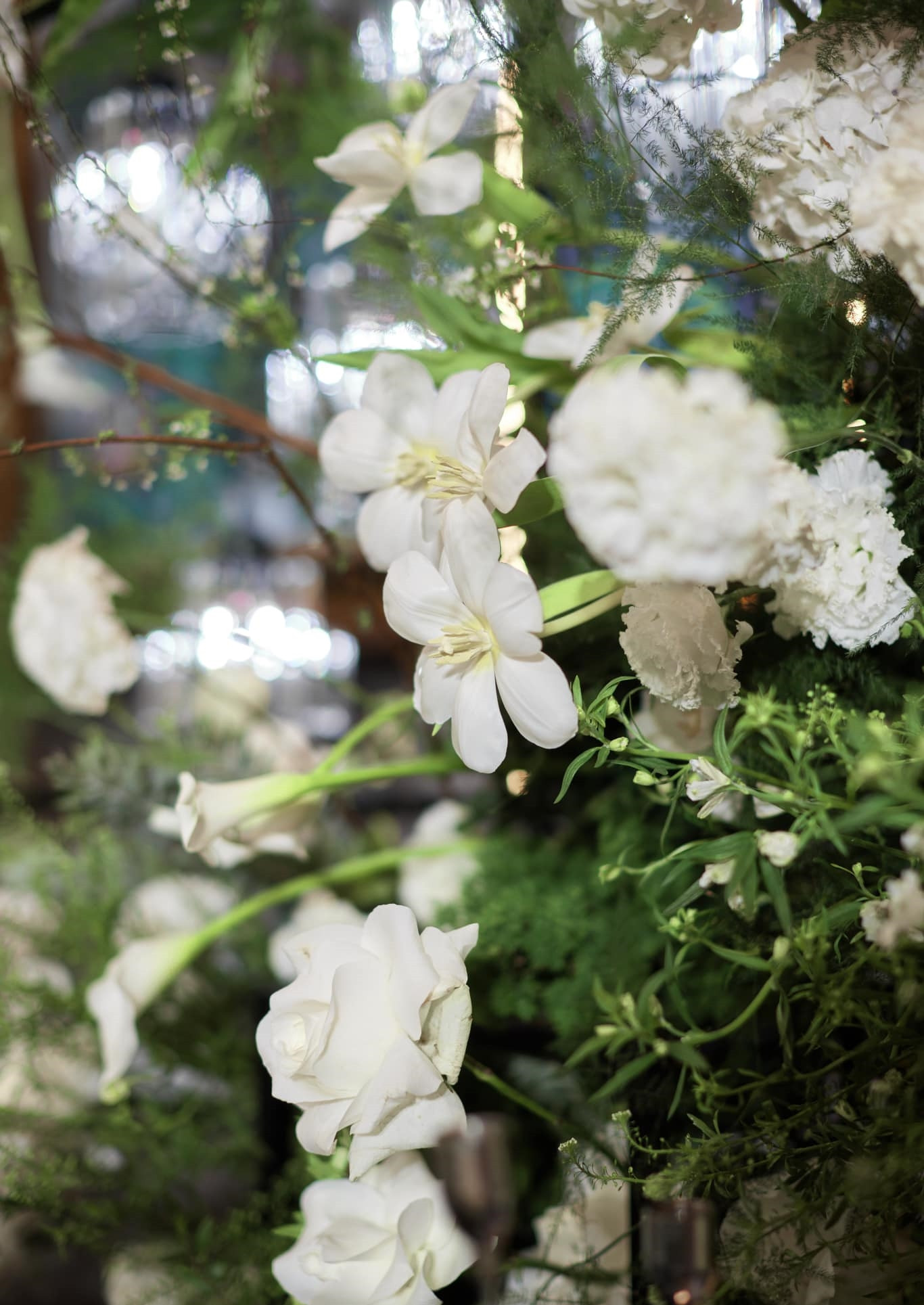 404995984 10231482397979210 8438018799334654469 n.jpg