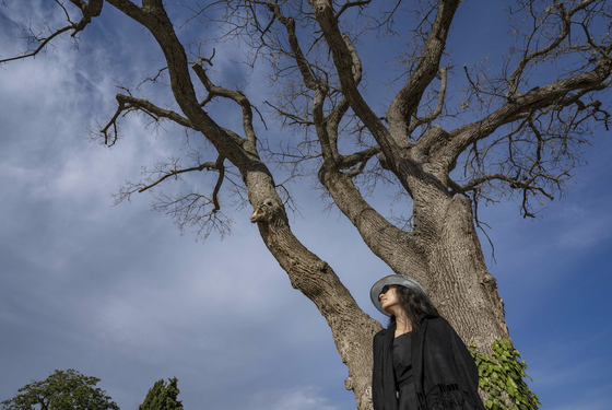 This is the third time artist Thuy Nguyen has been invited to organize an exhibition at Château La Coste in France. ảnh 1