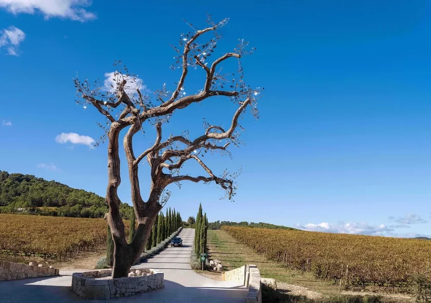 Artist Tia-Thuy Nguyen shapes the artwork based on the original structure of the dead, 18-meter-tall oak tree, and welded several stainless steel leaves on. ảnh 2