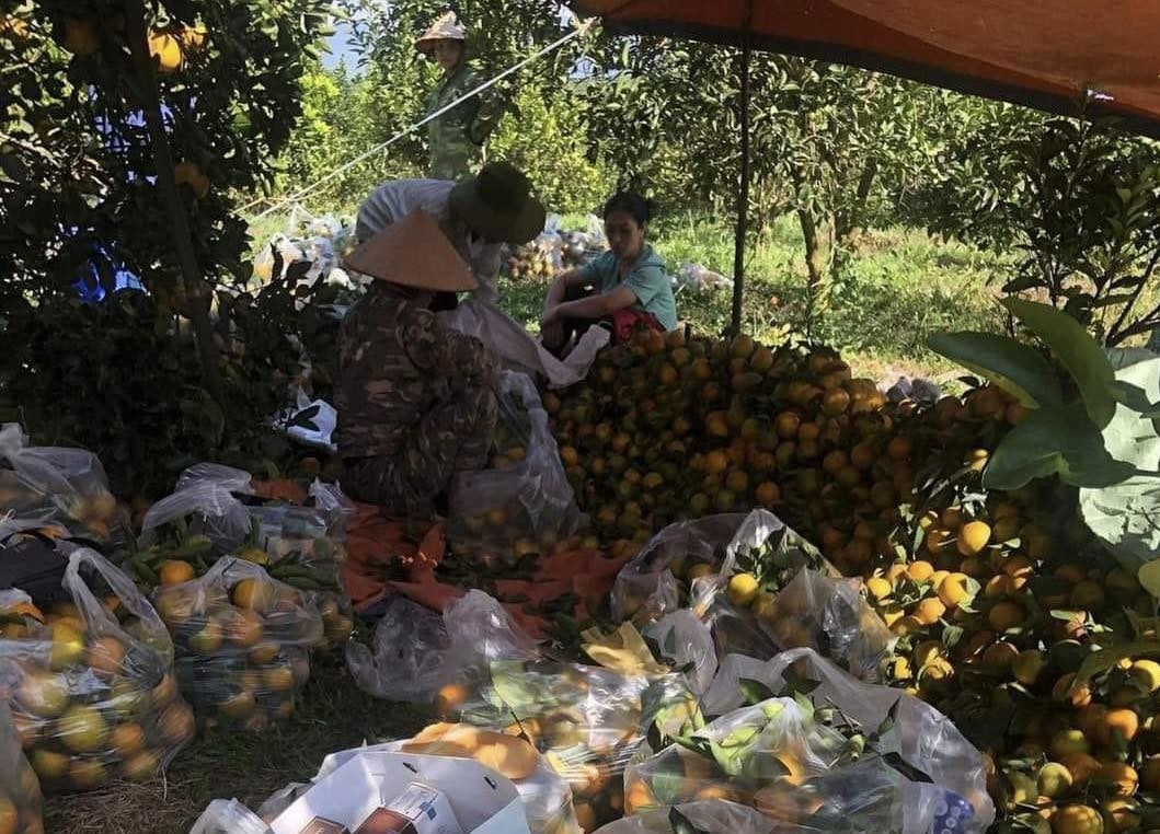 371494239 377921097991460 4553020021713916320 n.jpg