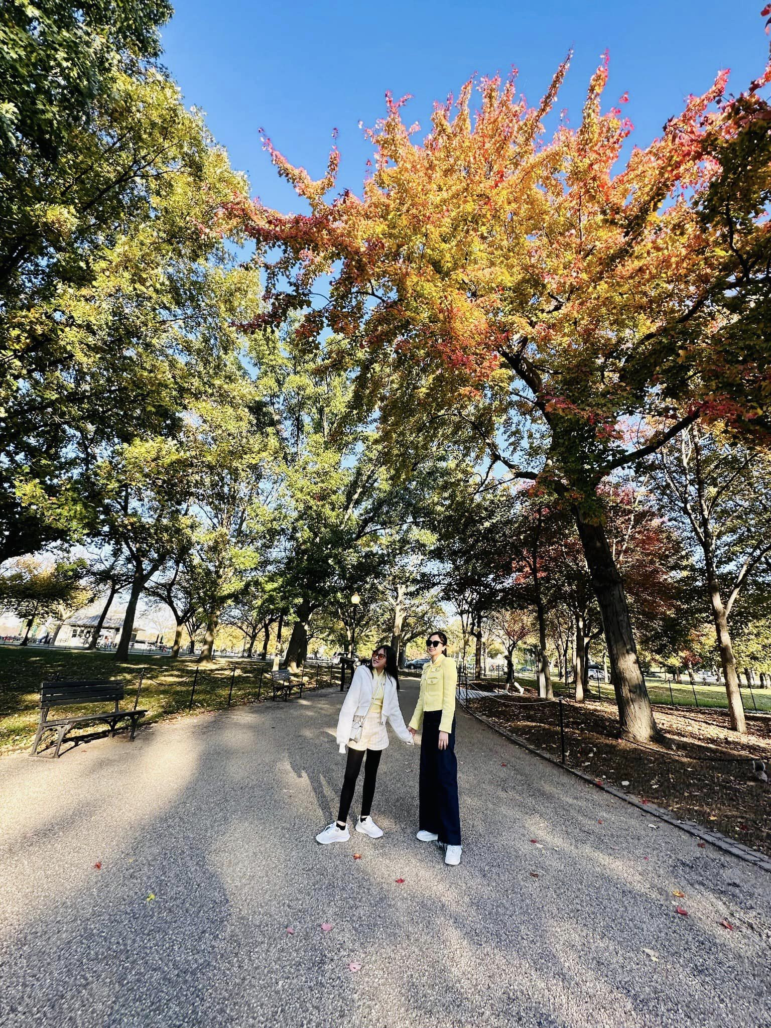 401411911 10210621034638962 3836323892954944325 n.jpg