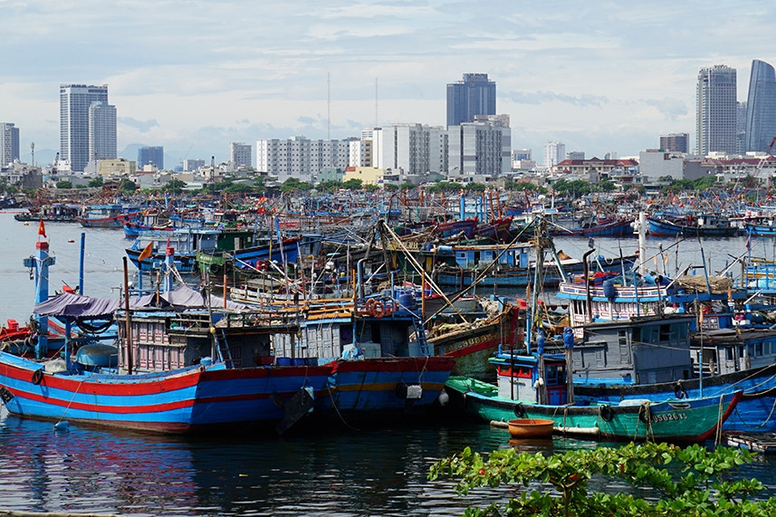 Chống khai thác IUU: Không lắp thiết bị giám sát, tàu cá không được xuất bến