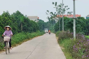 Hà Nội: Phổ biến các tiêu chí xây dựng nông thôn mới nâng cao tại huyện Ba Vì